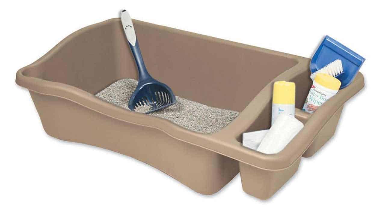 Do Maine Coon Cats Use a Litter Box? petsKB