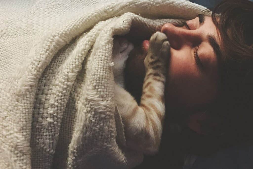 What does it mean when a cat paws your face? Pets KB