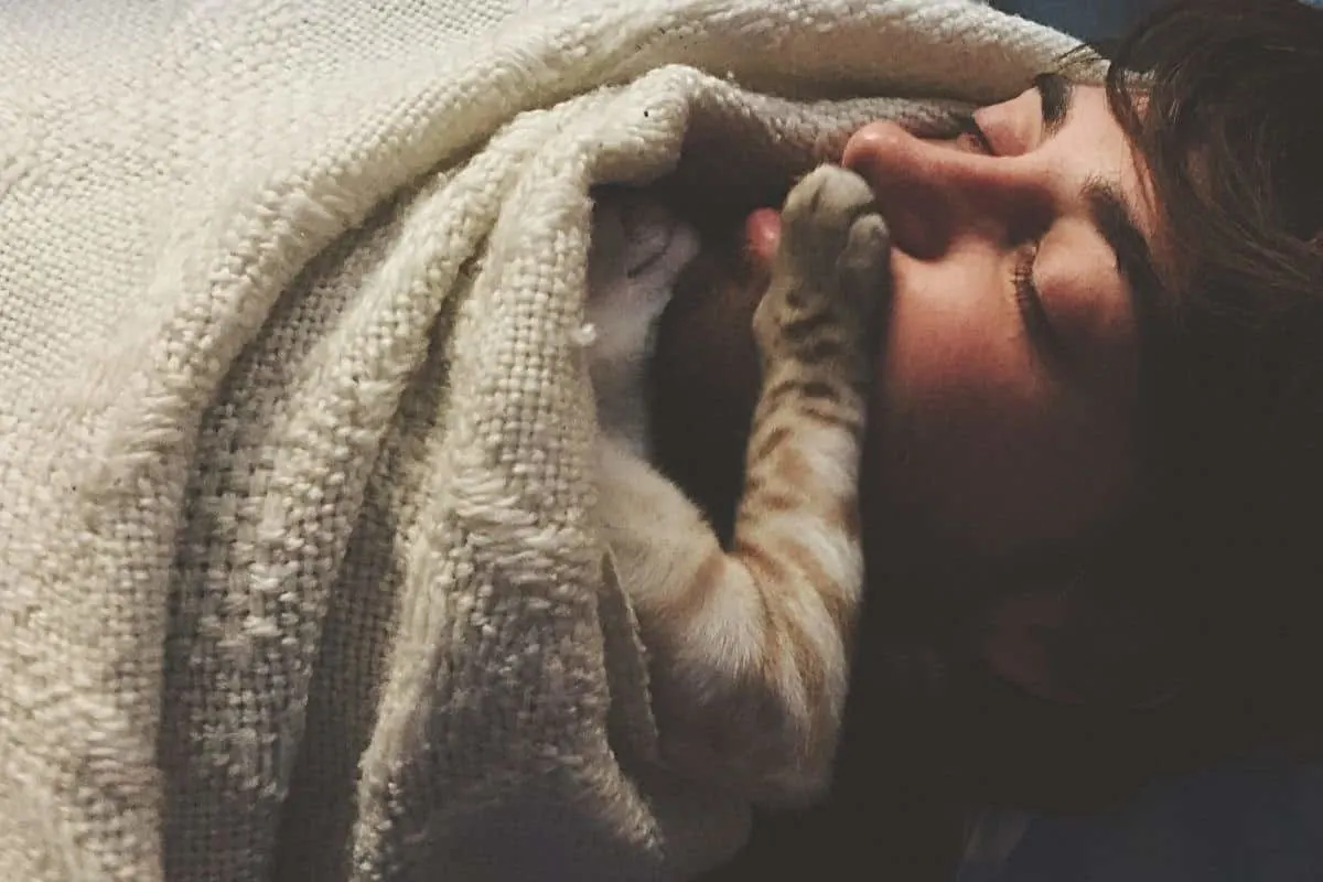 Cat pawing owner's face in bed
