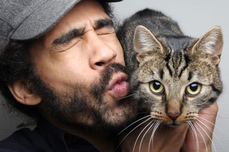 Do Cats Remember Their Old Owners? petsKB