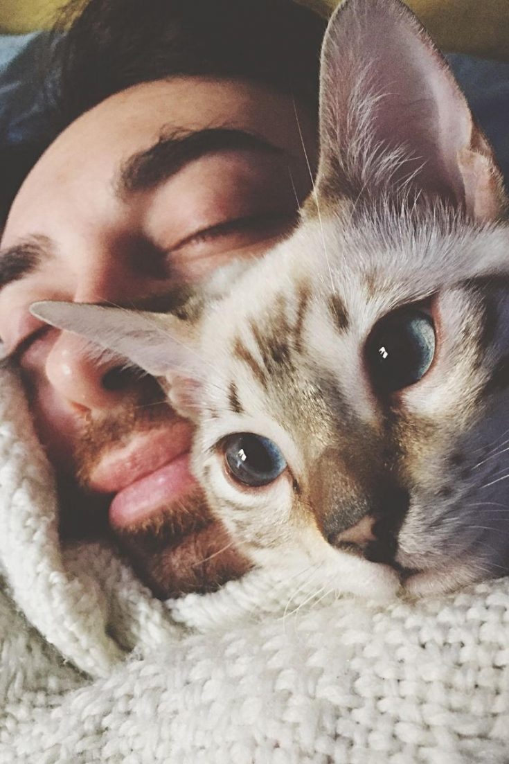 Why do cats put their paws on your face? petsKB